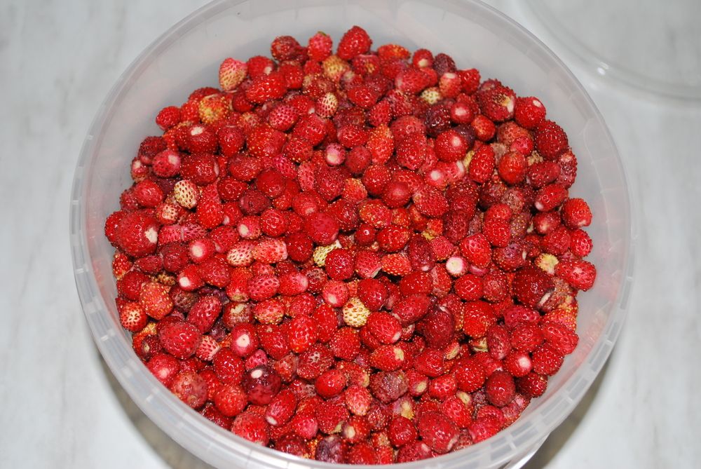 Фотография автора Юрий Рудый