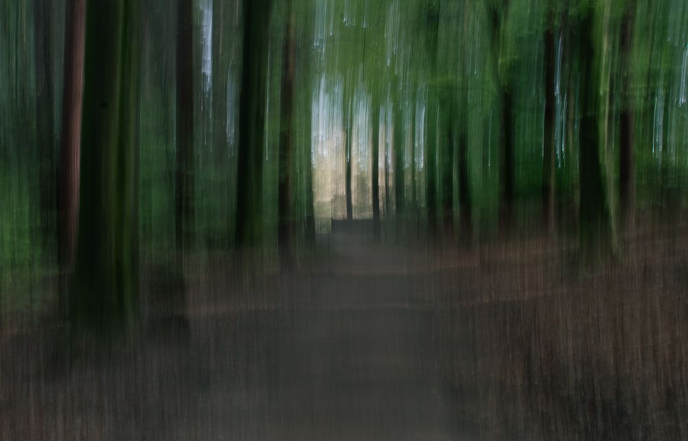 Фотография автора Jelena Bazenova