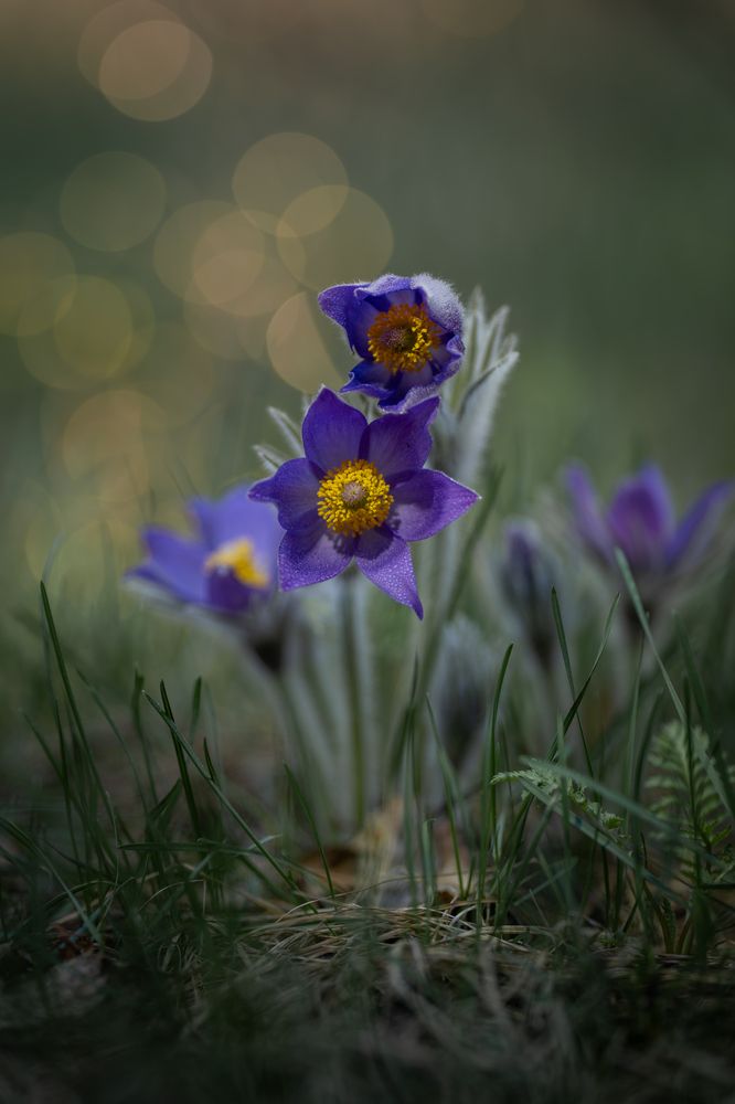 Photograph by Alexander Semenko