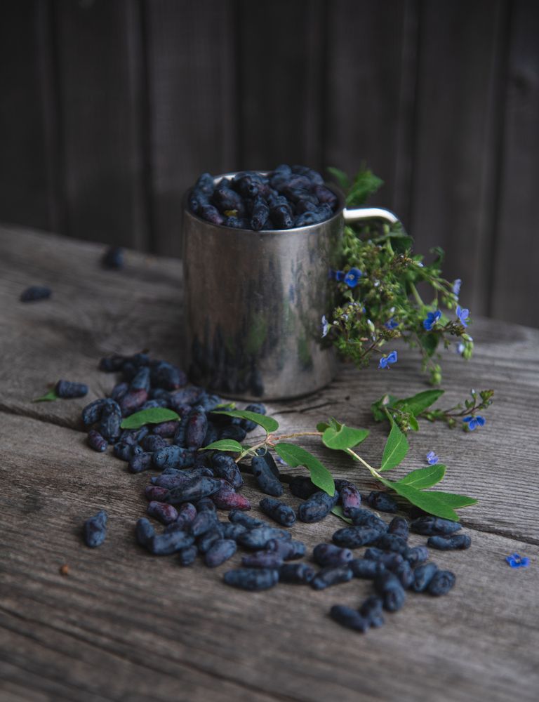 Photograph by Галина Патрушева