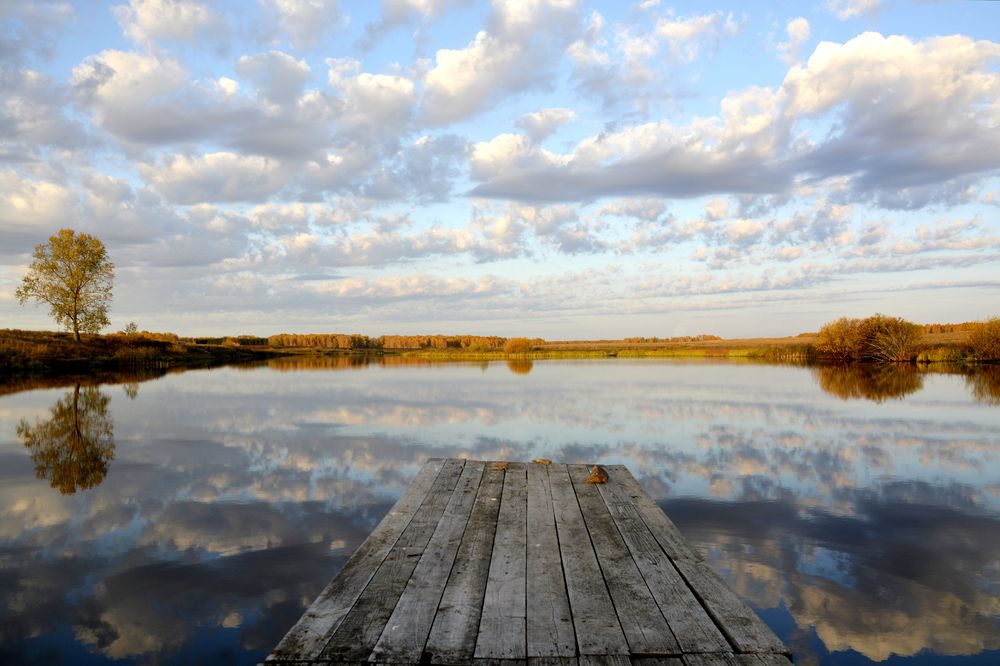 Photograph by Дмитрий Петренко