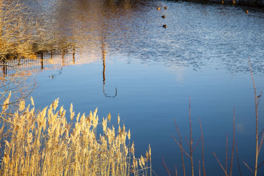 Photograph by Сергей Олюков