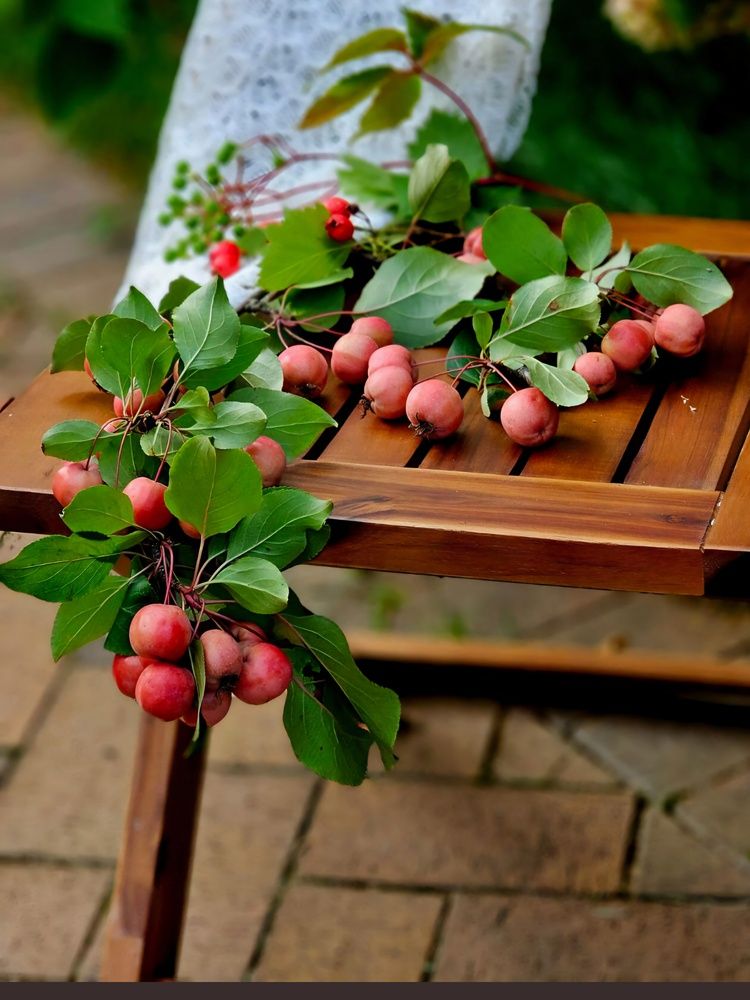 Photograph by Галина Левина