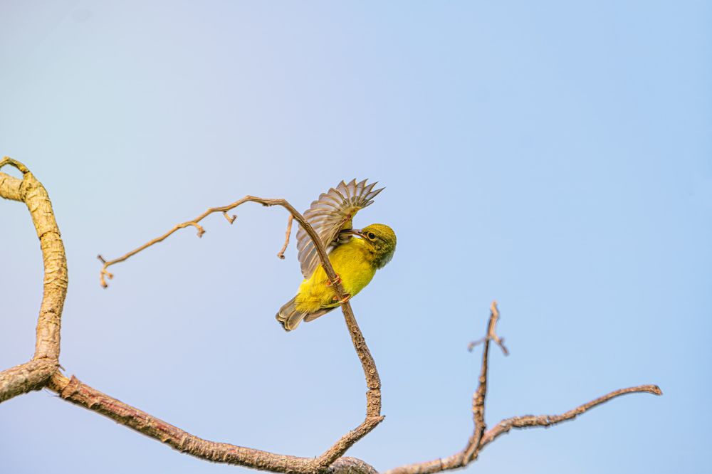 Photograph by Nguyen Hai Duong