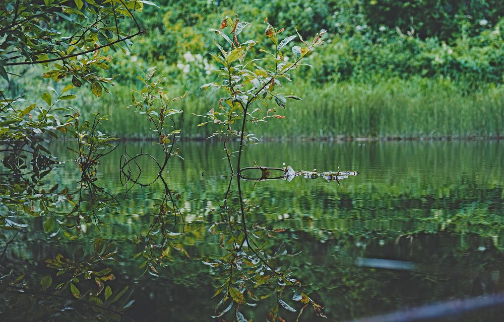 Photograph by Никита Максимов