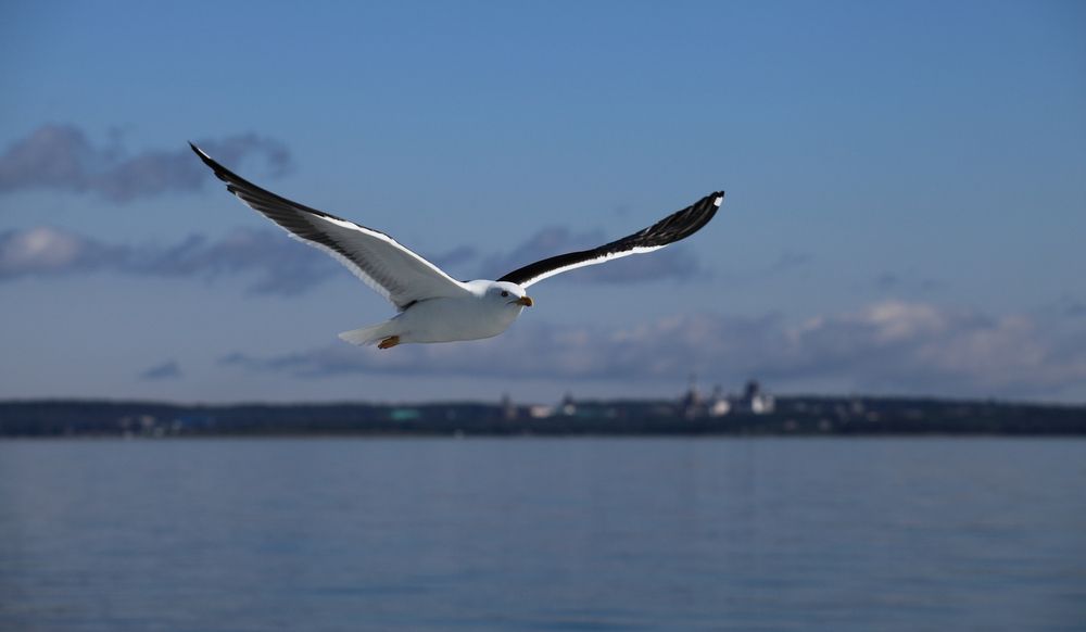 Photograph by ANDREY PERESHEIN