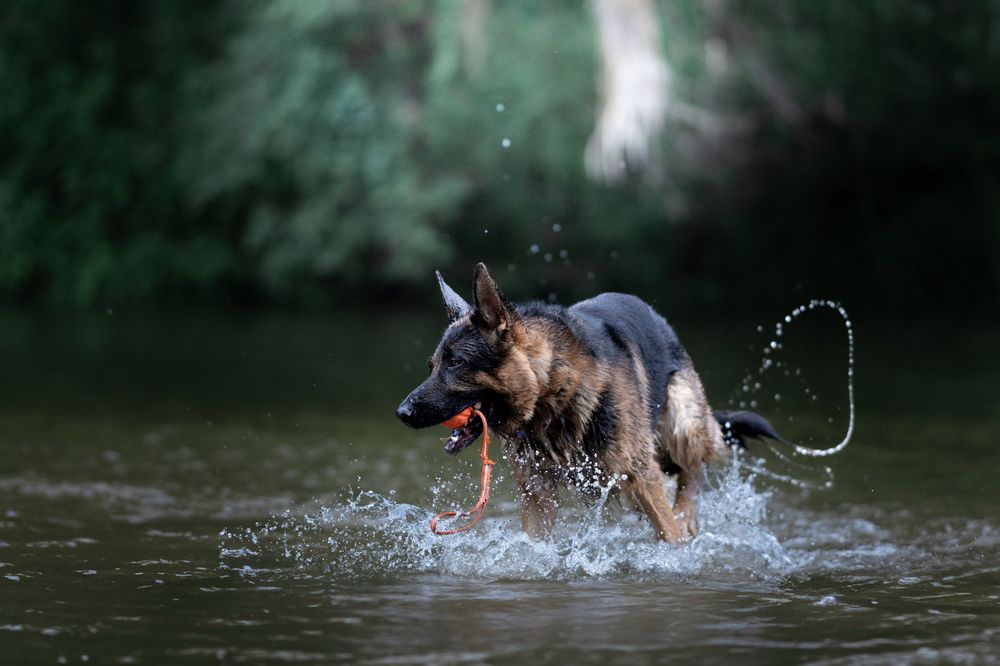 Photograph by Mateusz