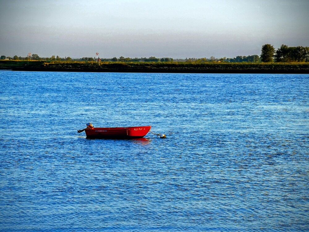 Фотография автора Ian Heard