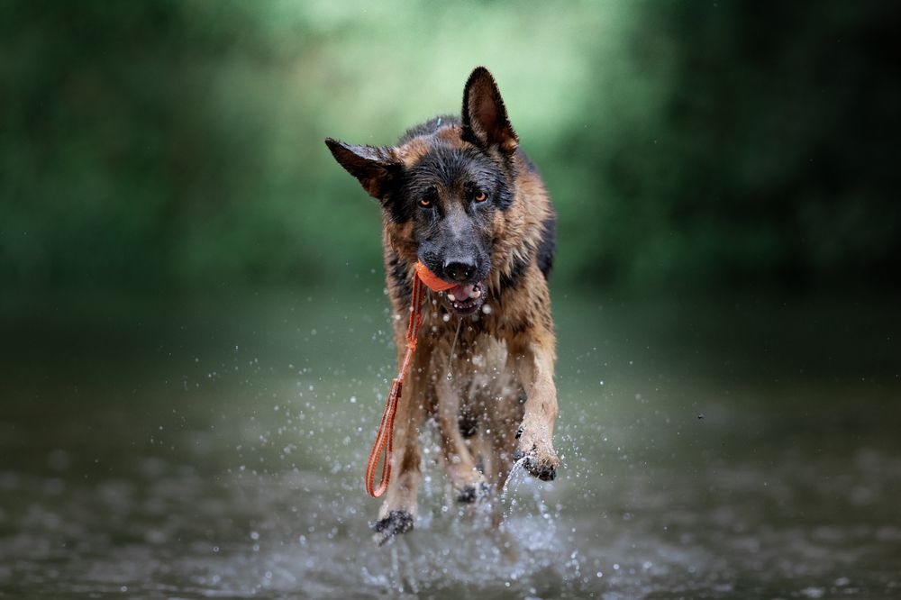 Photograph by Mateusz