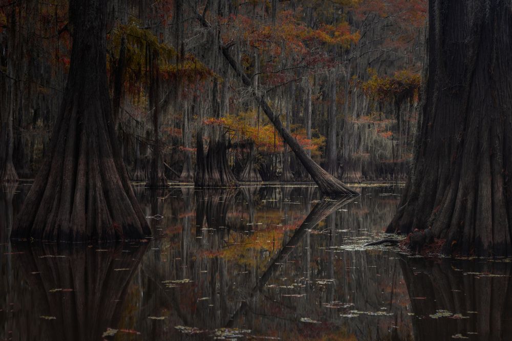 Photograph by Roman Bevzenko