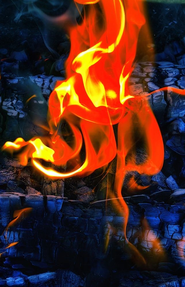 Фотография автора Татьяна Александровна Терехова