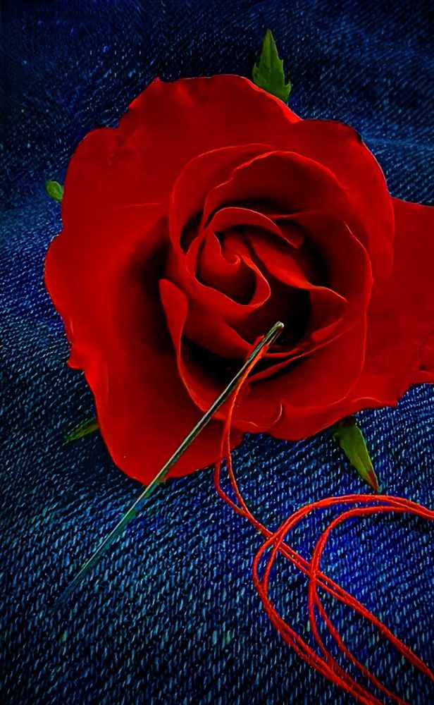 Фотография автора Татьяна Александровна Терехова