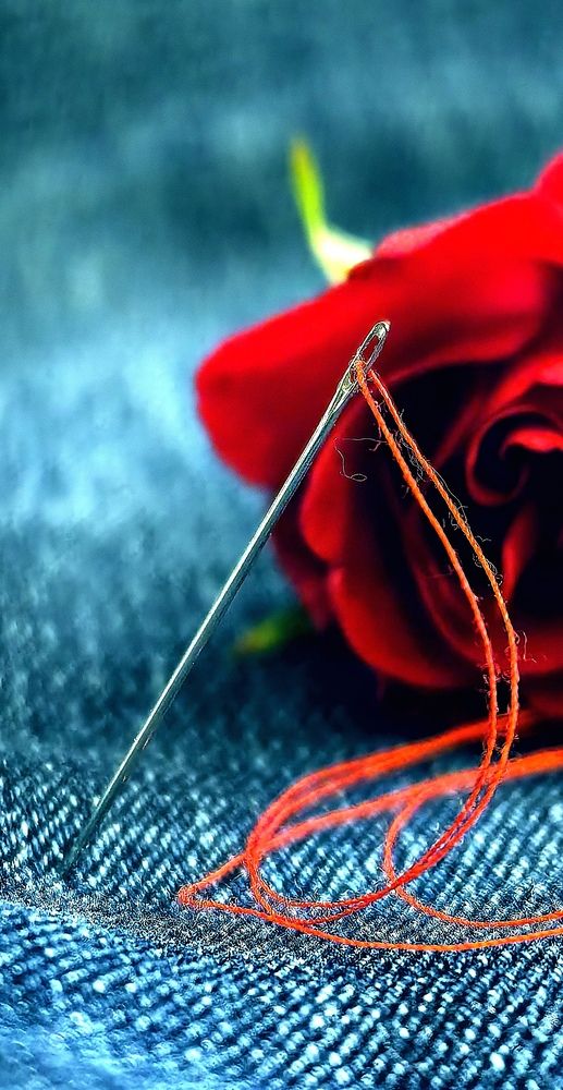 Фотография автора Татьяна Александровна Терехова