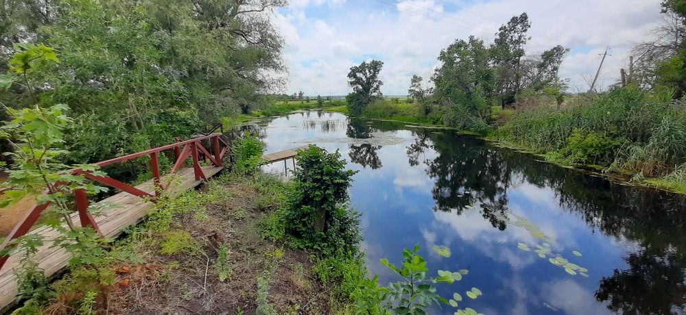 Photograph by Александр Аведов