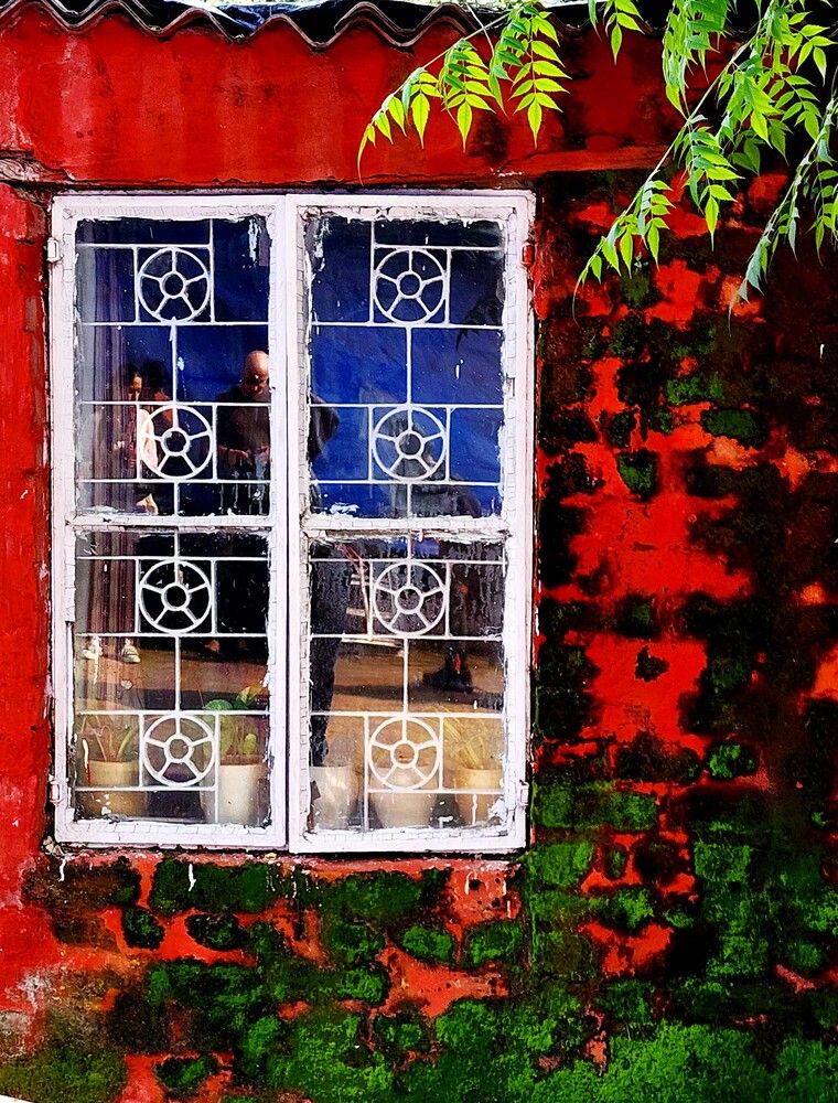 Photograph by G GOVIL