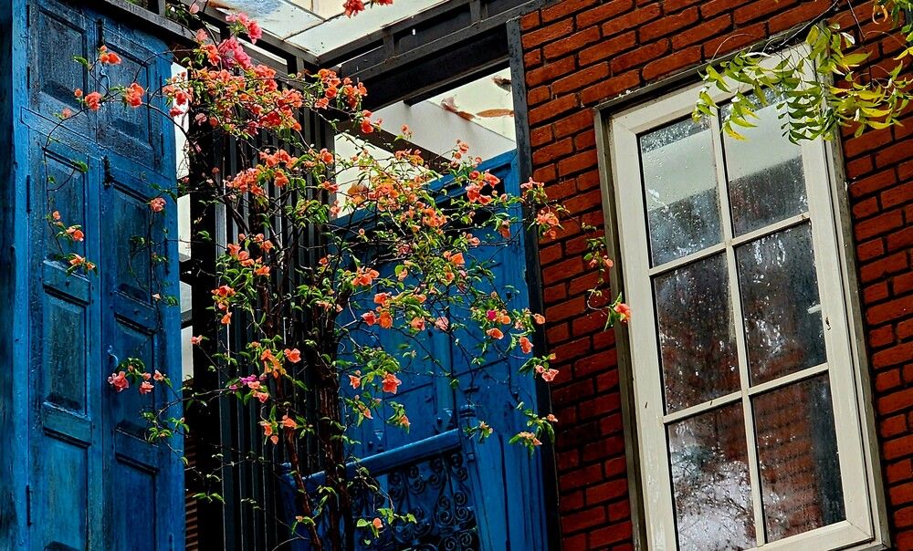 Photograph by G GOVIL