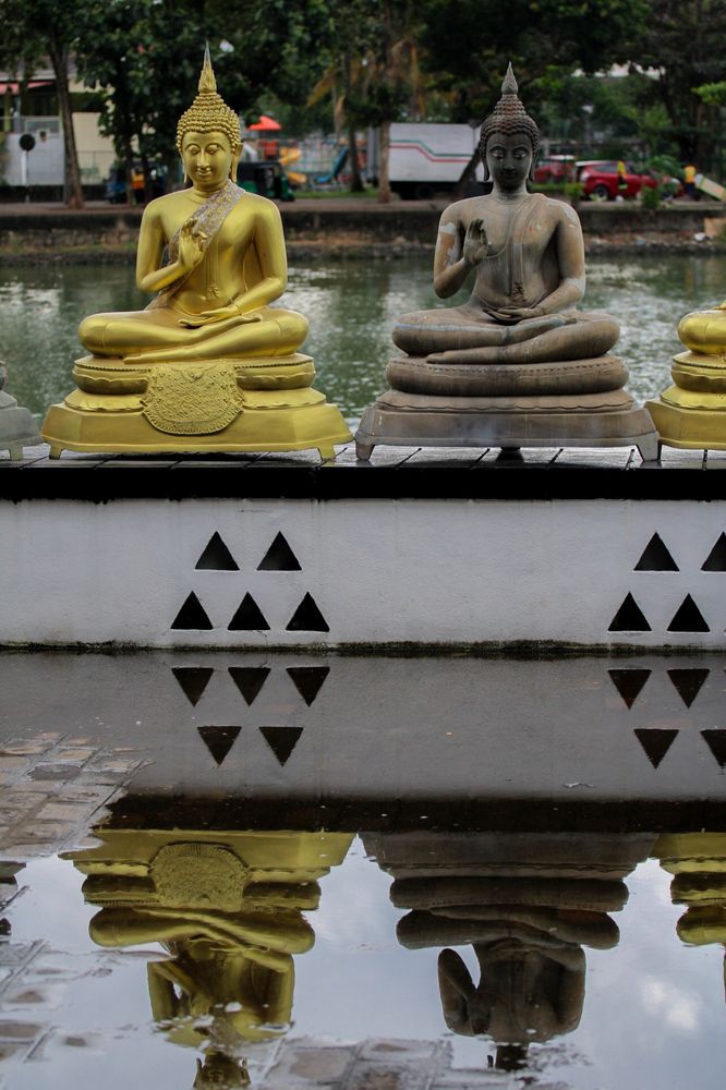 Photograph by Chanika Dulnitha