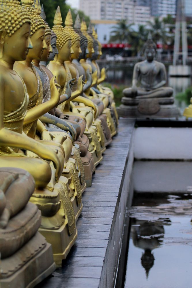 Photograph by Chanika Dulnitha