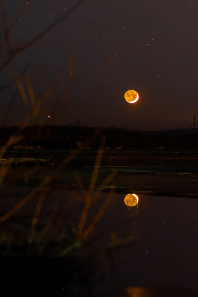 Photograph by Олег Бережных