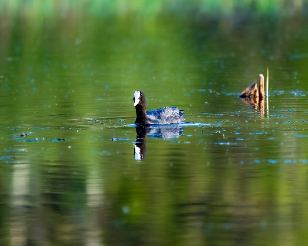 Photograph by Екатерина Дубровская