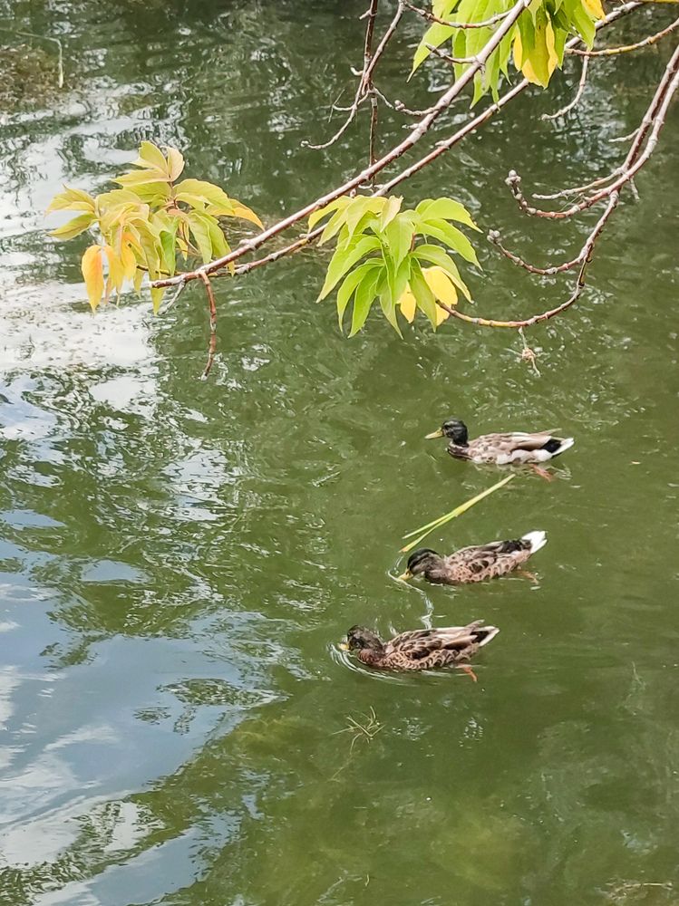 Photograph by Ирина Строкова