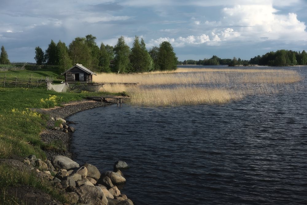 Photograph by Алексей Никонов