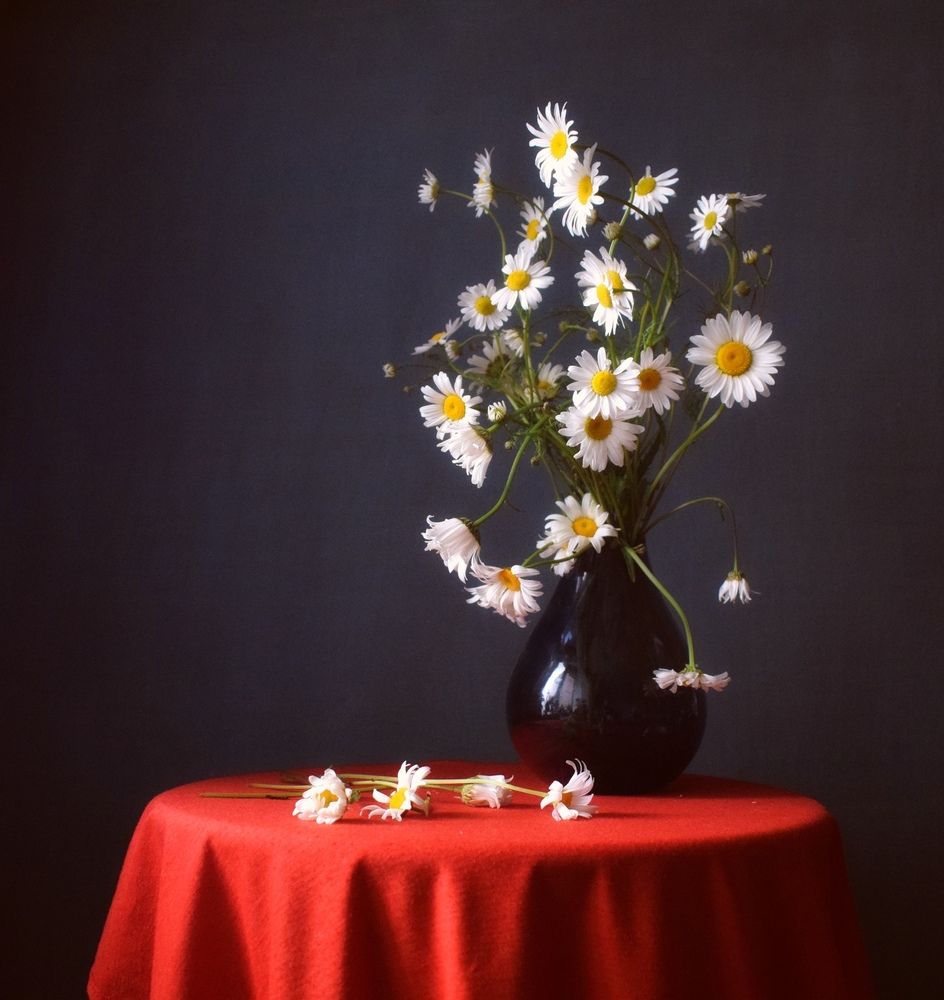 Photograph by Антонина Шабышева