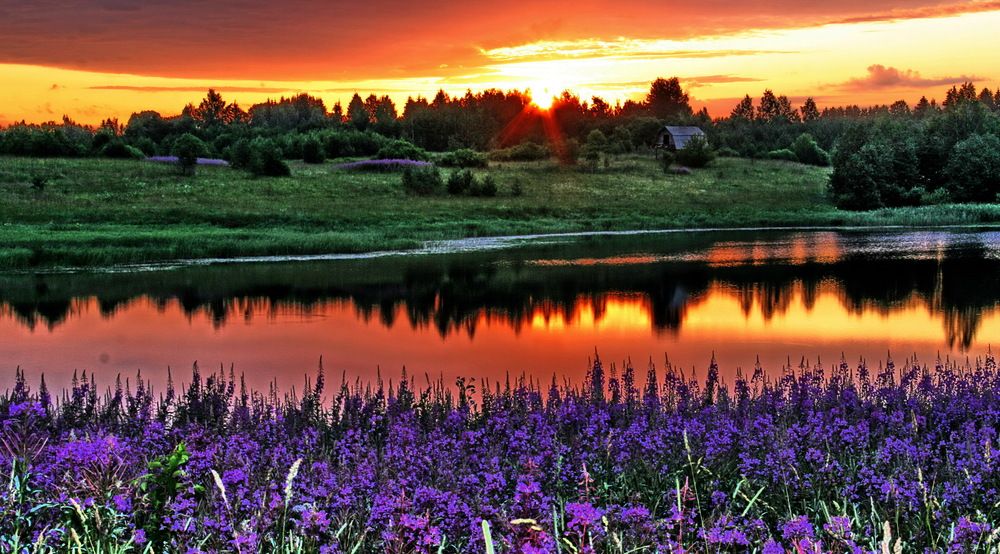 Photograph by Александр Лазебник