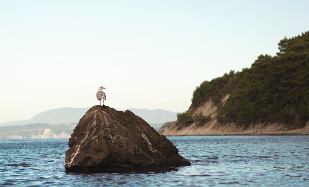 Photograph by Забудская Наталья