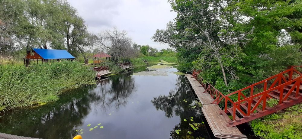 Photograph by Александр Аведов