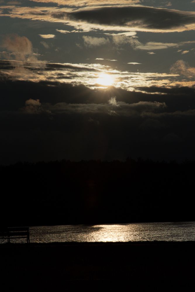 Фотография автора Николай Гришин