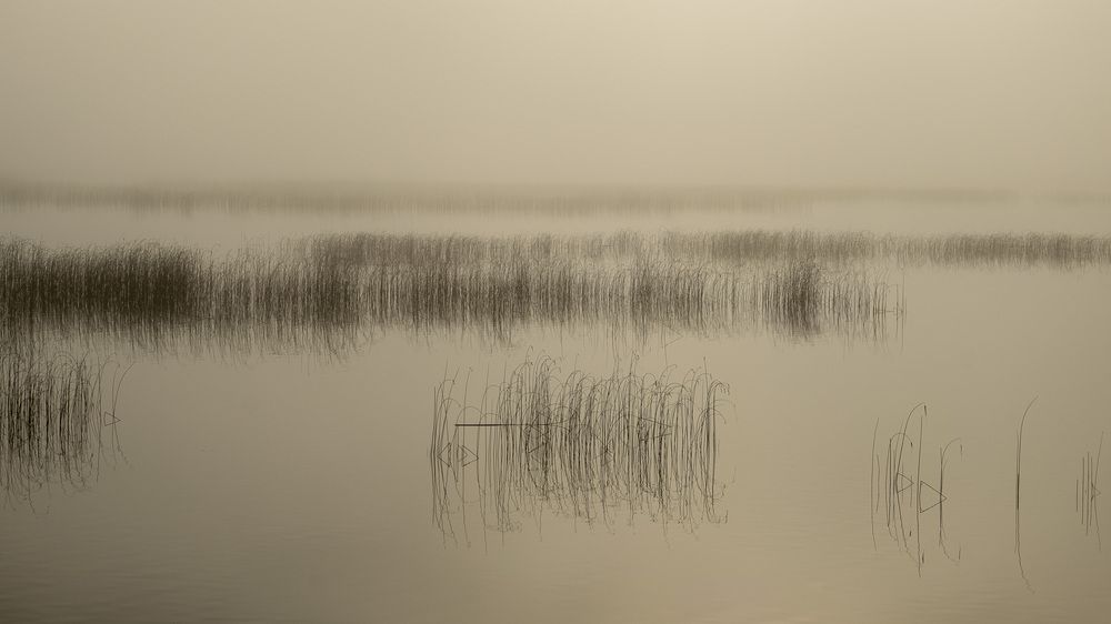 Misty Reflection
