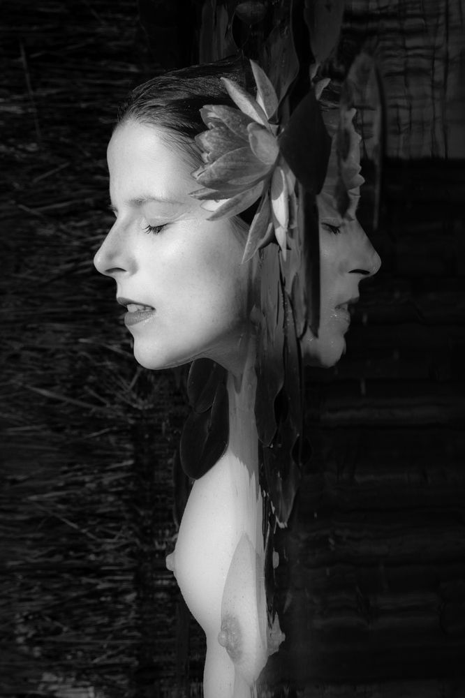 BORN FROM A FLOWER BUDD