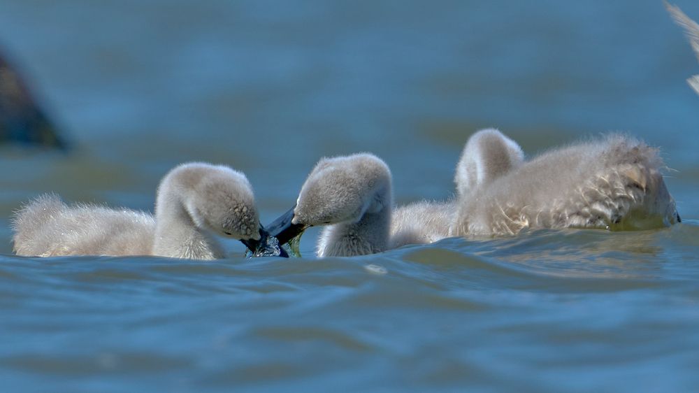 Photograph by Valery Zmachynski