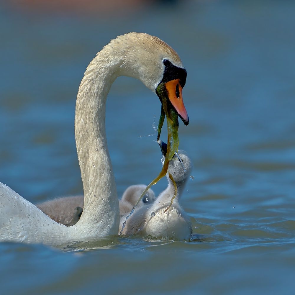 Photograph by Valery Zmachynski