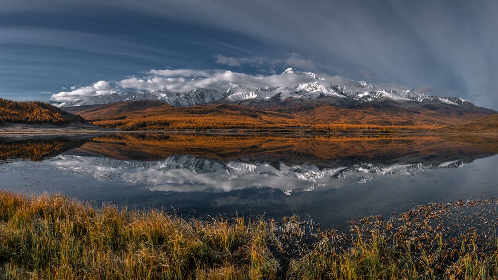 Photograph by Mark Devender