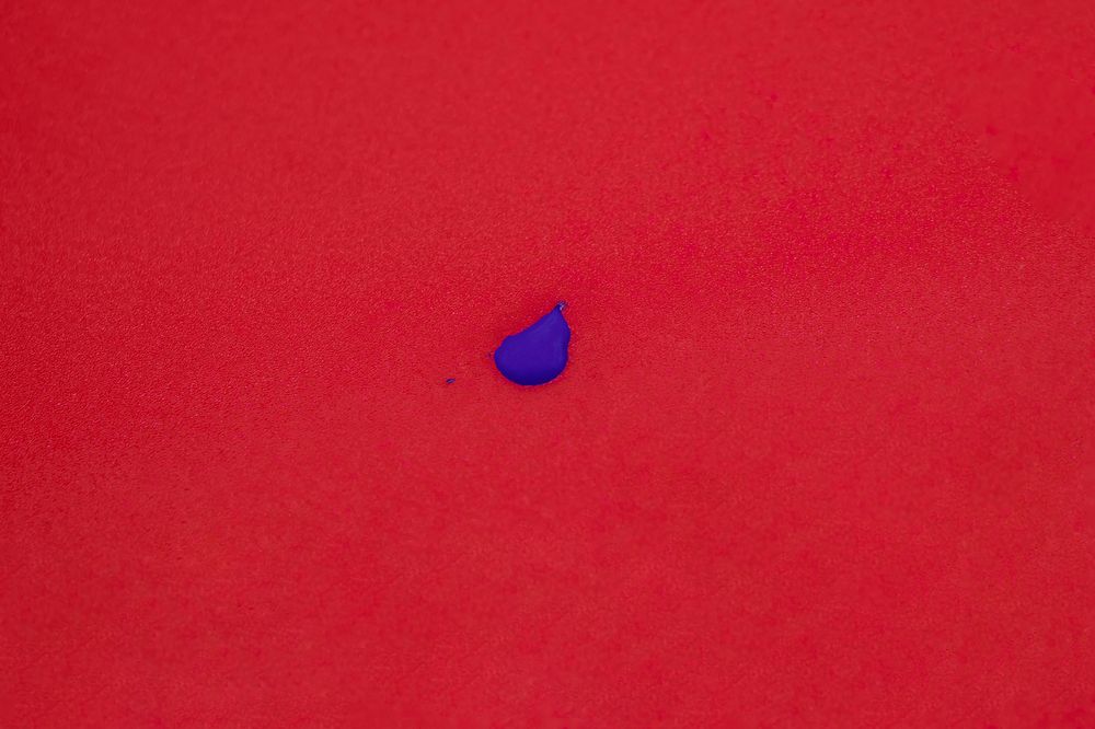 Photograph by Ирина Шибитова