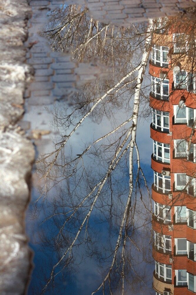 Photograph by 