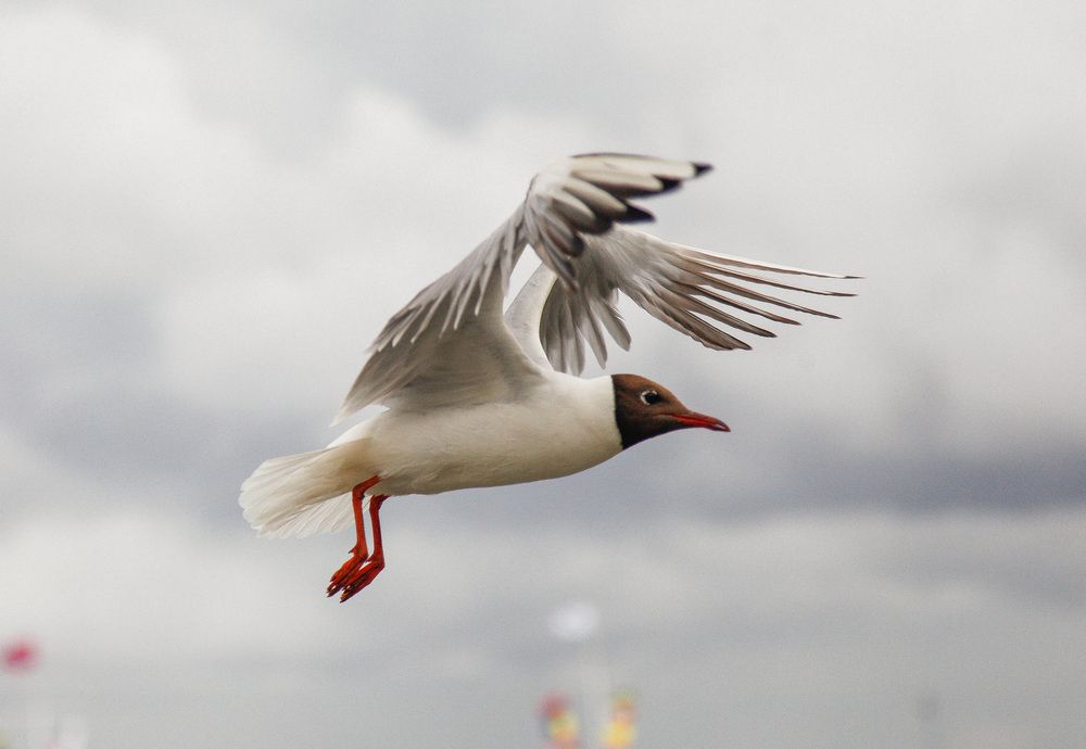 Photograph by Юлия Горчакова