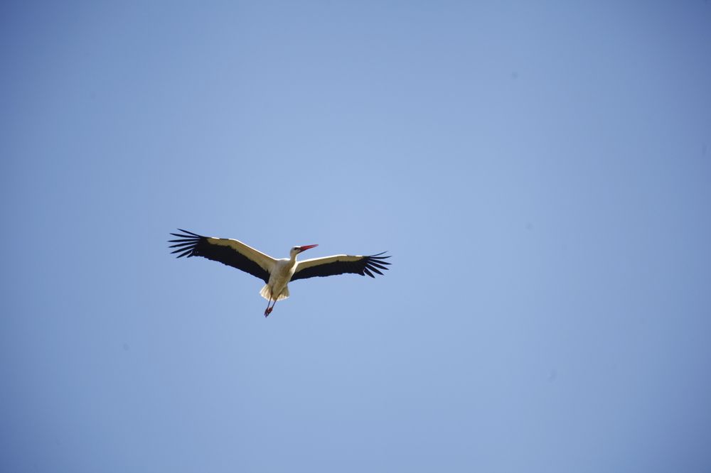 Photograph by Юлия Горчакова