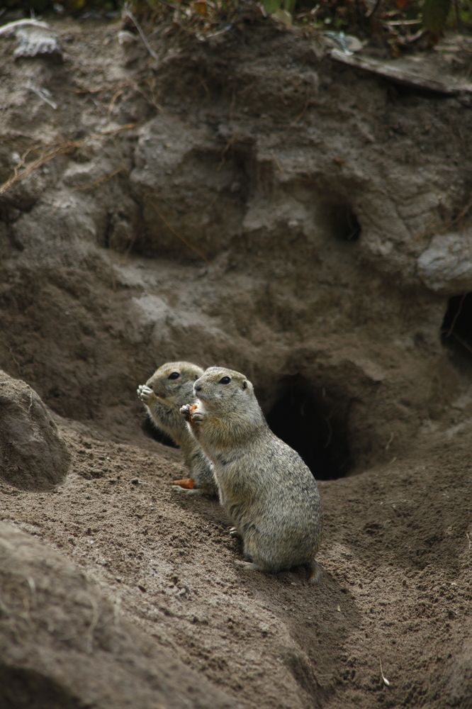 Photograph by Юлия Горчакова