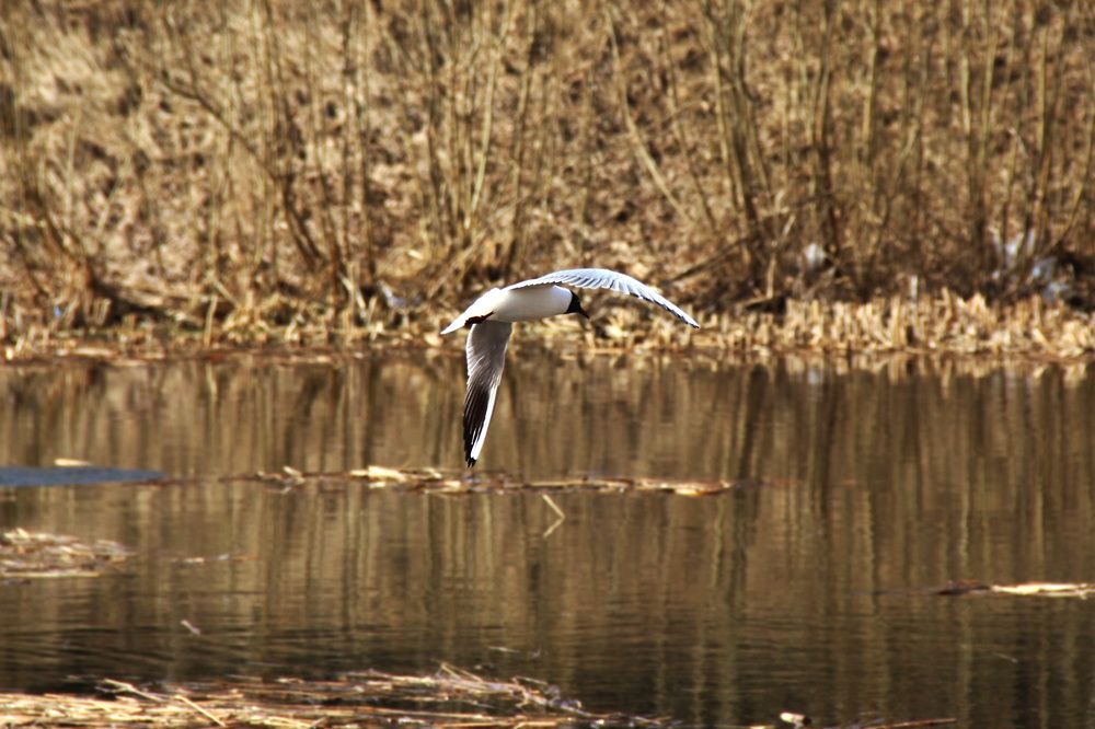 Photograph by Полина Овчинникова
