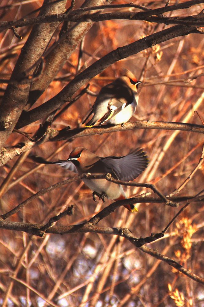 Photograph by Полина Овчинникова