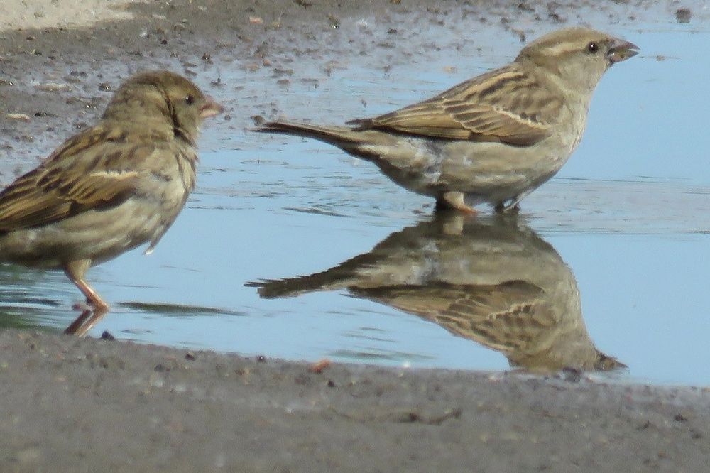 Photograph by Валерия Яскович