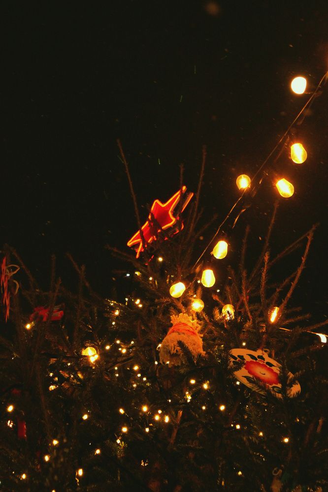 Photograph by Полина Овчинникова
