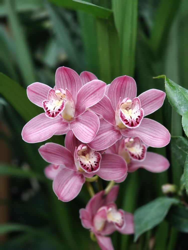 Photograph by Тимофей Самсонов