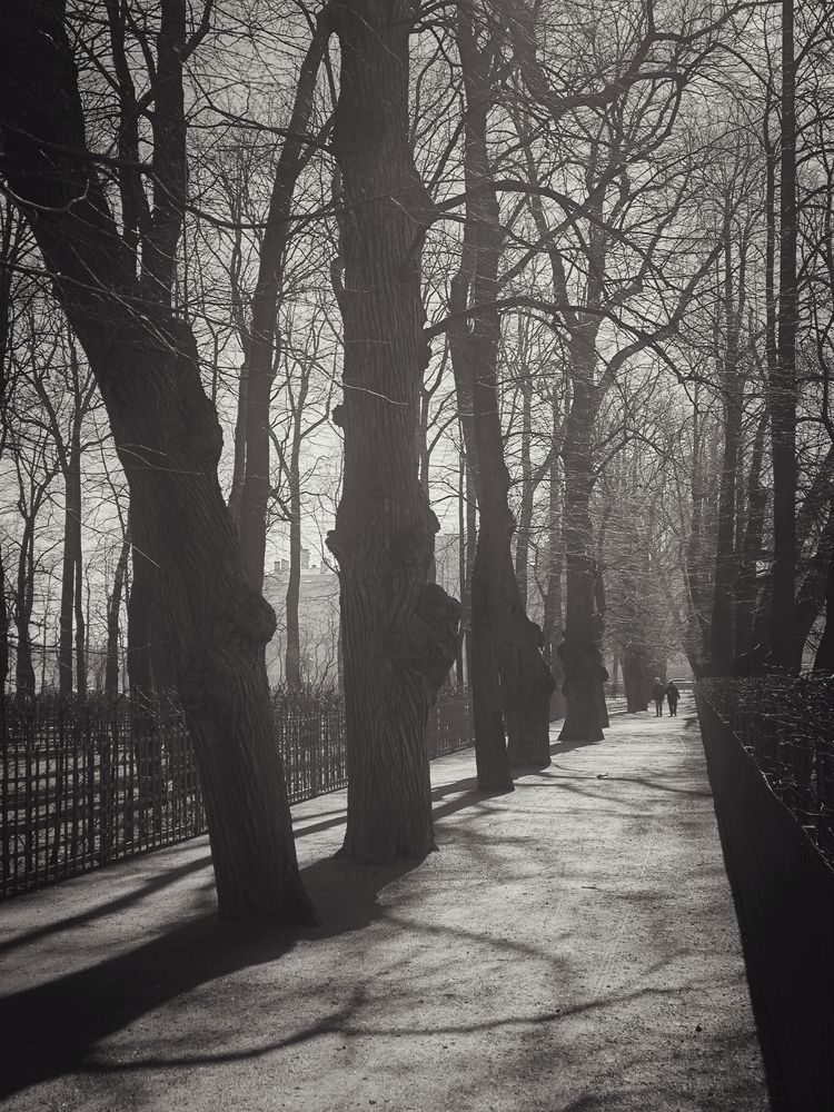 Photograph by Вячеслав Щёголев