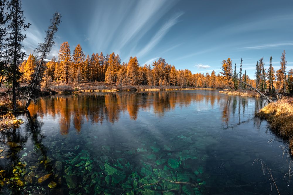 Photograph by Mark Devender