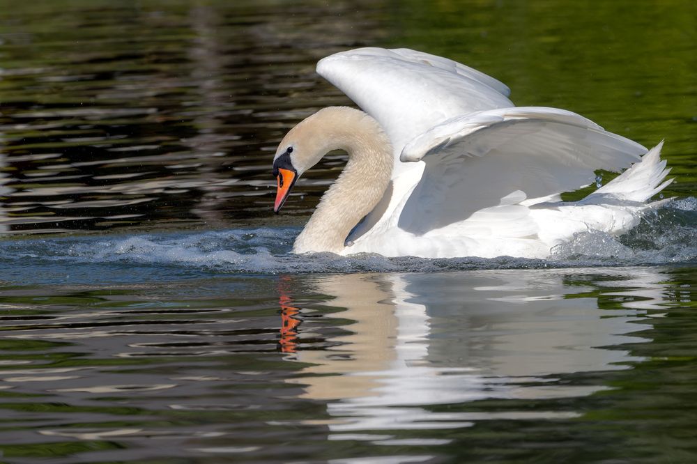Photograph by Ruzhdi Ibrahimi