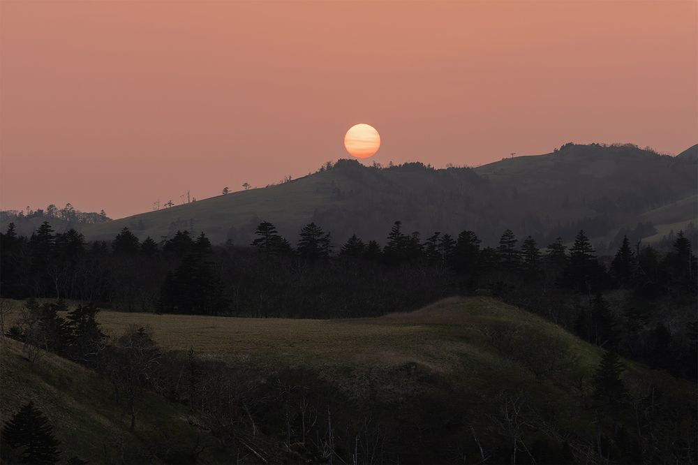 Photograph by Елена Вторушина